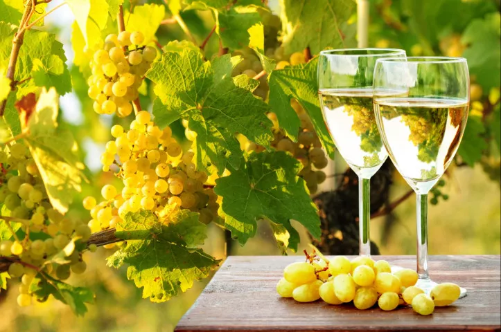 I Vini Tipici della Liguria: Tra Mare, Monti e Tradizione